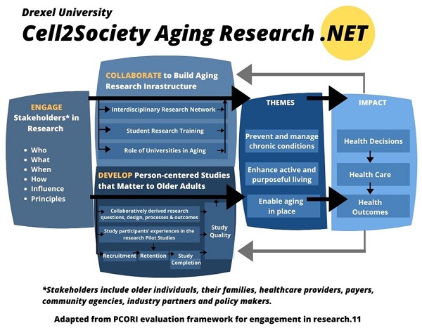 Slide from presentation of Cell2Society Aging Research 